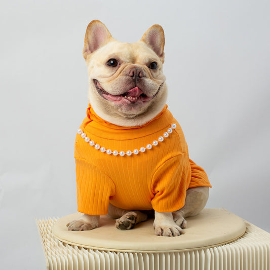 Pet Solid Color Bottoming Shirt High Collar