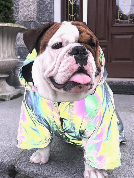Microcrystalline reflective dog clothes