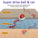 Rolling Ball Chirping Interactive Toys