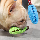 Chewing Toothbrush Toy
