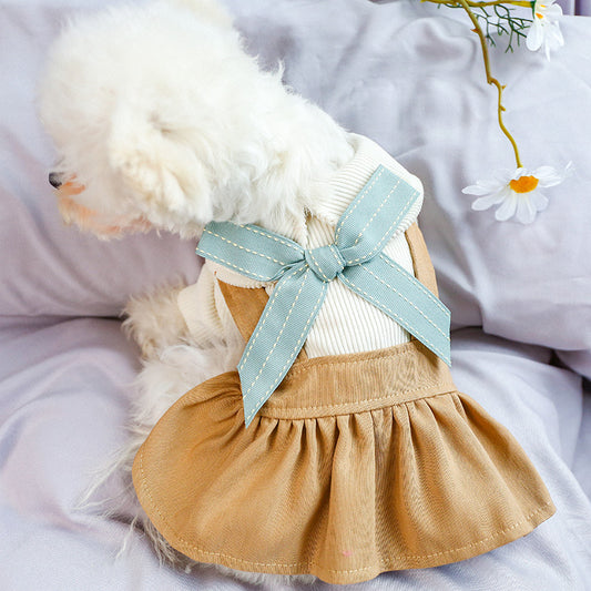 cute skirt with a ribbon