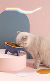 Stable-Angle Cat Food bowl