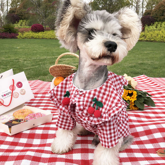 dog clothes for picnics