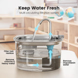 Water Feeder Stainless Steel Pet Water Dispenser