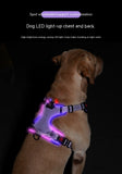 USB Rechargeable Pet LED Luminous Chest Strap