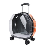 Transparent Backpack With Large Capacity And Ventilate