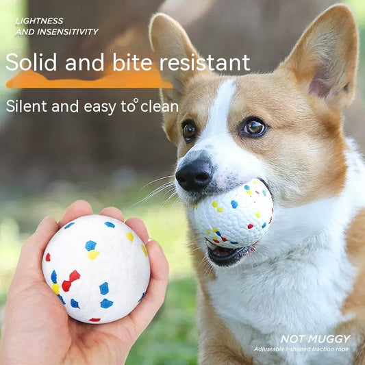High Rebound Bite-resistant Pet Toy