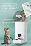6L Remote Intelligent Life Automatic Cat Feeder