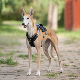 Reflective And Breathable Pet Chest Harness