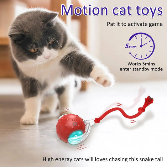 Rolling Ball Chirping Interactive Toys