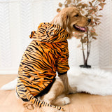 Golden Retriever Tiger Clothes