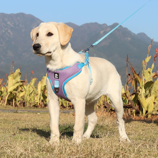 Breathable Pet Harness Adjustable Leash