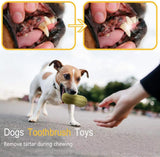 Funny Pet Dog Squeaky Toy