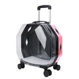 Transparent Backpack With Large Capacity And Ventilate