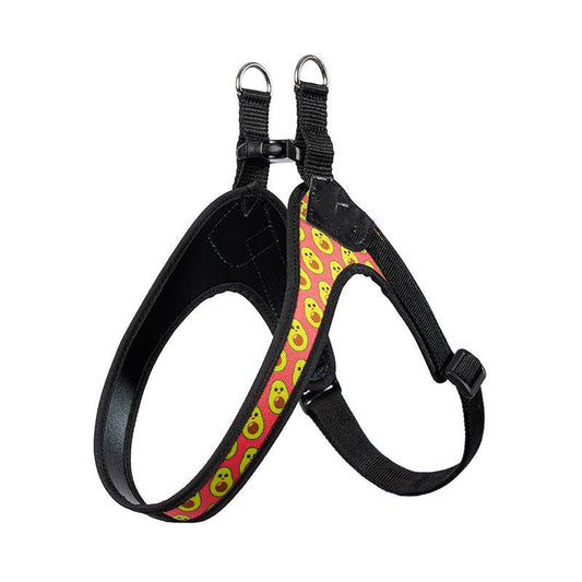 Puppy Harness Leash Vest Style