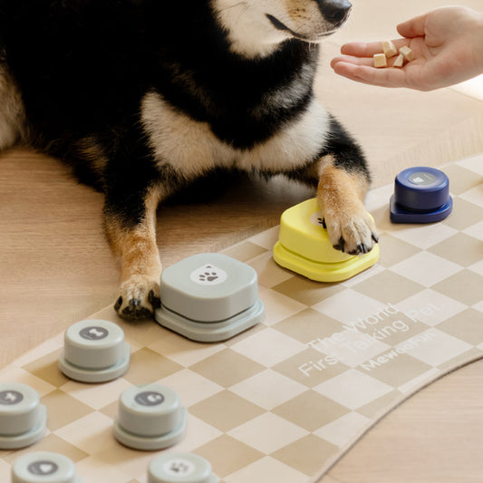 Pet Small Size Ac Cat Voice Stitching Miniature Recording Dog Training Talking Button