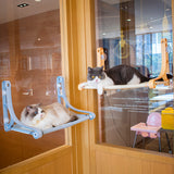 Cat Hammock Window Hanging Rest Area
