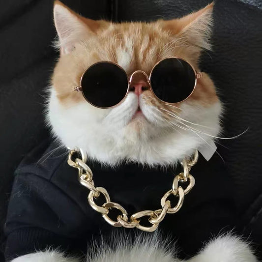 Cat-Luxury Sunglasses