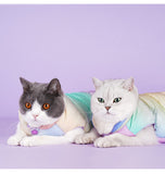 Cat Colorful Warm Winter Fashion