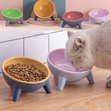 Stable-Angle Cat Food bowl