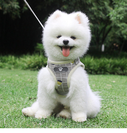 Breathable Mesh Dog Harness