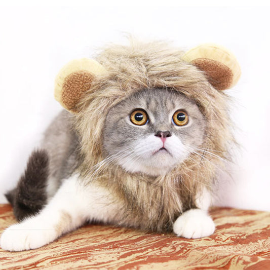 Funny Pet Hat Emulation Lion Hair Mane Ears Head Cap