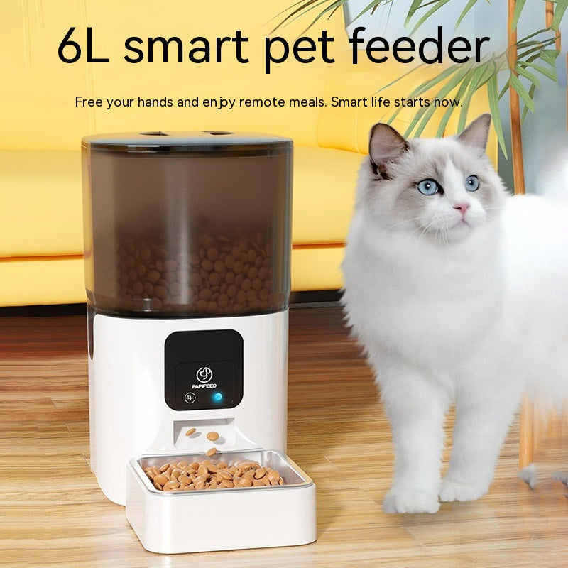 6L Remote Intelligent Life Automatic Cat Feeder