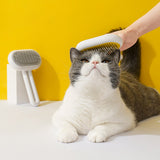 Cat Grooming  Brush
