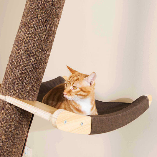 Solid Wood Stick Cat Climbing Scratcher