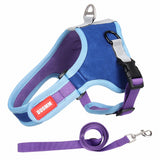 Suede Dog Harness