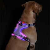 USB Rechargeable Pet LED Luminous Chest Strap