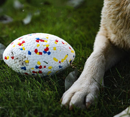 Teeth-resistant Pet Dog Chewing Football