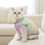 Cat Colorful Warm Winter Fashion