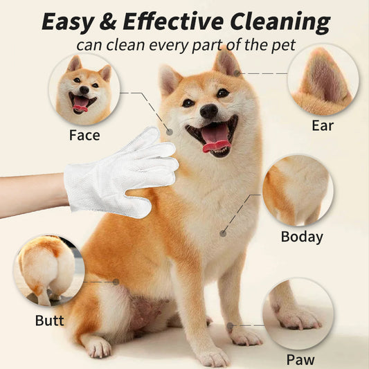 Pet Disposable Gloves Cats & Dogs