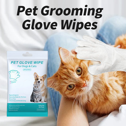 Pet Disposable Gloves Cats & Dogs