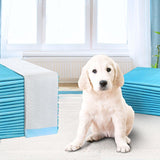 400pcs Puppy Dog Pet Training Pads Cat Toilet 60 x 60cm Super