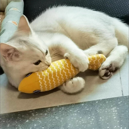 Fish-Shaped Cotton Cat Toy