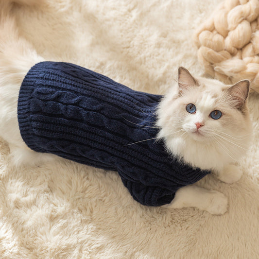 Warm Sweater For a Cat