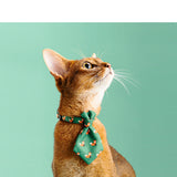 Cat Collar Gentleman Tie