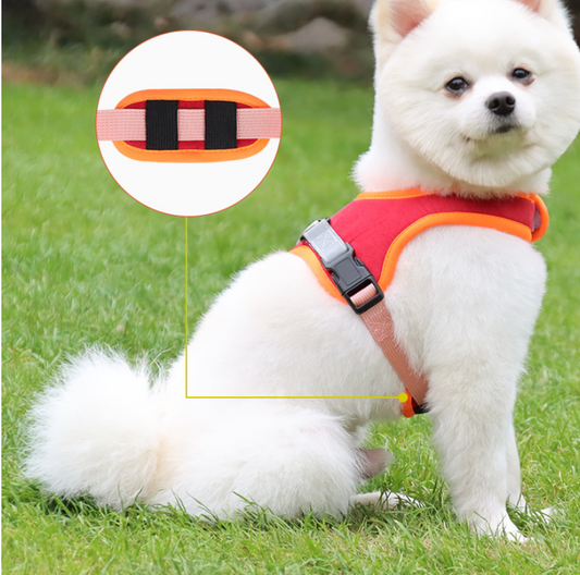 Suede Dog Harness