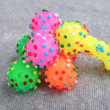 colorful bone toy