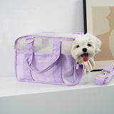 Summer Breathable Mesh Pet Takeaway Bag