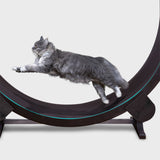 Cat Running Wheel Fitness Toys