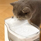 Intelligent Automatic Filtration Flowing Water Pet Water Dispenser
