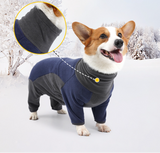 Warm dog clothes for cold weather