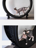 Cat Running Wheel Fitness Toys