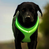 LED Luminous Dog Harness