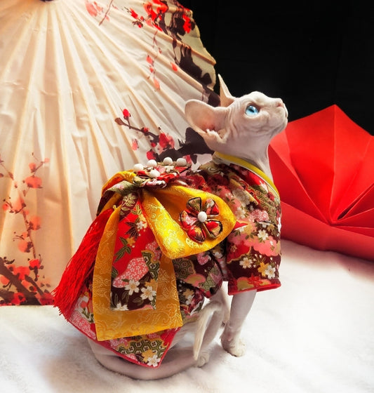 Traditional costume for a sphinx cat