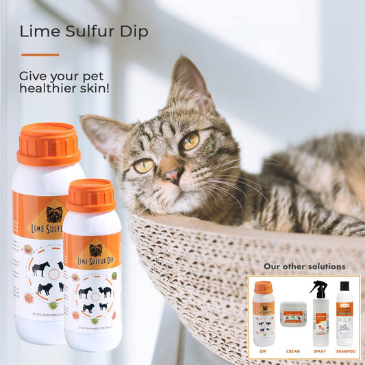 Classic's Lime Sulfur Dip Safe Solution for Dog Cat Horse Pet