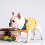 Pineapple dog clothes